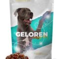 Geloren Large Dog