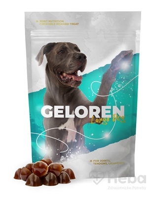 Geloren Large Dog