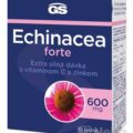 GS Echinacea FORTE 600