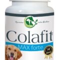 Colafit MAX forte
