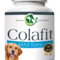Colafit MAX forte