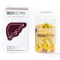 BERHEPPA