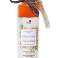 NaturProdukt Sirup Rakytníkový