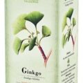 GREŠÍK GINKO