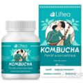 Liftea KOMBUCHA Pamäť a koncentrácia