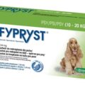FYPRYST 134 mg PSY 10-20 KG
