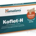Himalaya Koflet-H Ginger