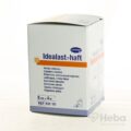 Idealast-haft