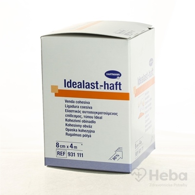 Idealast-haft