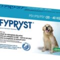 FYPRYST 268 mg PSY 20-40 KG