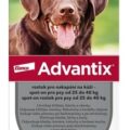 Advantix Spot-on pre psy od 25 do 40 kg