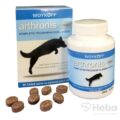 arthronis FÁZA 1
