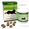 arthronis FÁZA 2