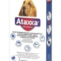 Ataxxa 2000 mg/400 mg (psy nad 25 kg)