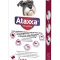 Ataxxa 1250 mg/250 mg (psy od 10 kg do 25 kg)