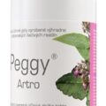 PEGGY ARTRO GÉL