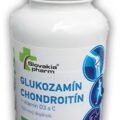 Slovakiapharm GLUKOZAMÍN CHONDROITÍN+vitamín D3, C