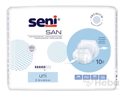 Seni SAN Uni