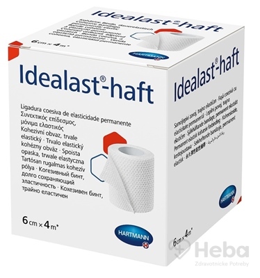 Idealast-haft