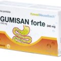 REGUMISAN forte 240 mg