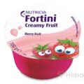 Fortini Creamy Fruit Multi Fibre