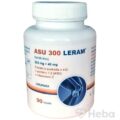 ASU 300 LERAM