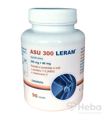 ASU 300 LERAM