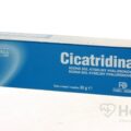 CICATRIDINA