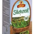 AGROKARPATY SKOROCEL kopijovitý BIO