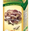 TEREZIA HLIVA USTRICOVITÁ