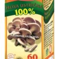 TEREZIA HLIVA USTRICOVITÁ