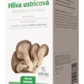 Imunit HLIVA ustricová