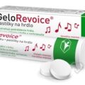 GeloRevoice