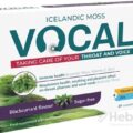 VOCAL