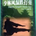 SHAOLIN náplasť