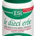 ESI 10 BYLÍN