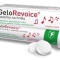GeloRevoice