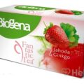 Biogena Fantastic Tea Jahoda & Ginkgo