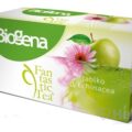 Biogena Fantastic Tea Jablko & Echinacea