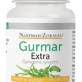 NástrojeZdravia GURMAR EXTRA GYMNEMA SYLVESTRE