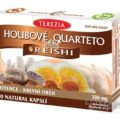 TEREZIA HUBOVÉ QUARTETO s REISHI 60