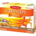 TEREZIA CORDYCEPS active