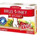 TEREZIA BRUSLINKY + BYLINKY Akut