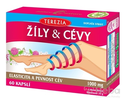 TEREZIA ŽILY & CIEVY