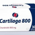 Cartilaga 800