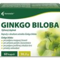 Noventis GINKGO BILOBA