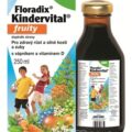 SALUS Floradix Kindervital fruity