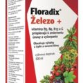 SALUS Floradix Železo +
