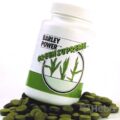 BARLEY POWER - JAČMENNÉ LÍSTKY