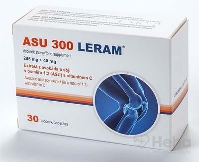 ASU 300 LERAM